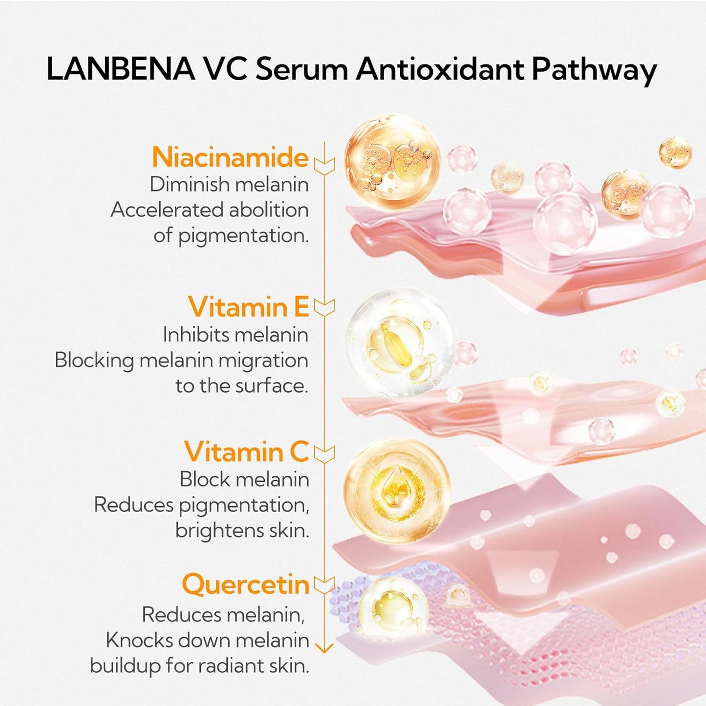 Sérum à 20 % de vitamine C pour le visage, éclaircissant pour la peau, élimine les taches brunes, réduit les rides, sérum anti-âge éclatant, hydratant pour le visage avec niacinamide, vitamine E, acide hyaluronique, 15 ml/0,51 fl oz 