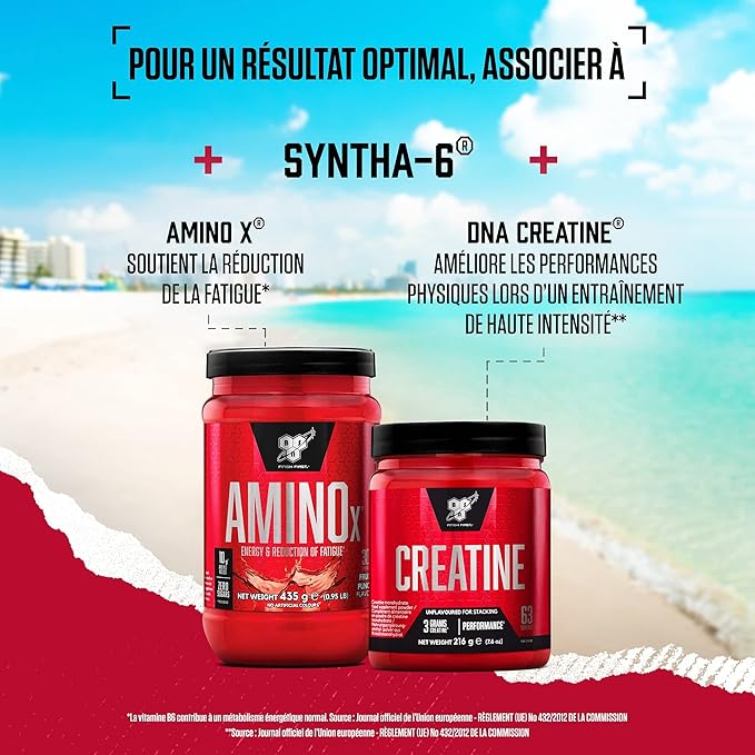 BSN Syntha 6, poudre de protéines de qualité supérieure pour la croissance et la réparation musculaire