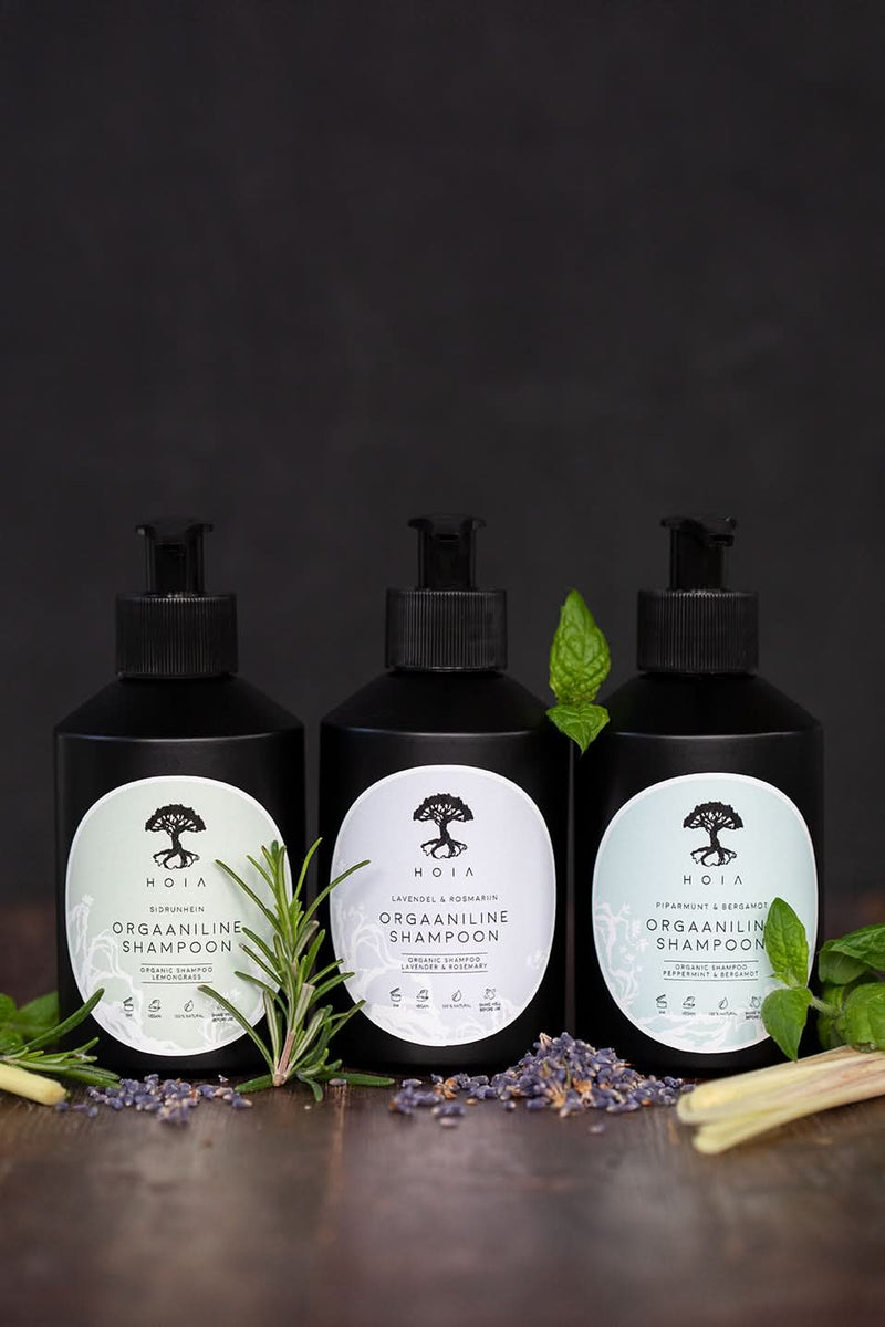 Organic Shampoo Peppermint & Bergamot, 200ml - Sccoti